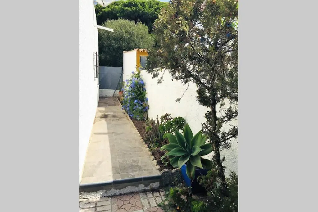 Casa El Agave Villa Los Canos De Meca Holiday home
